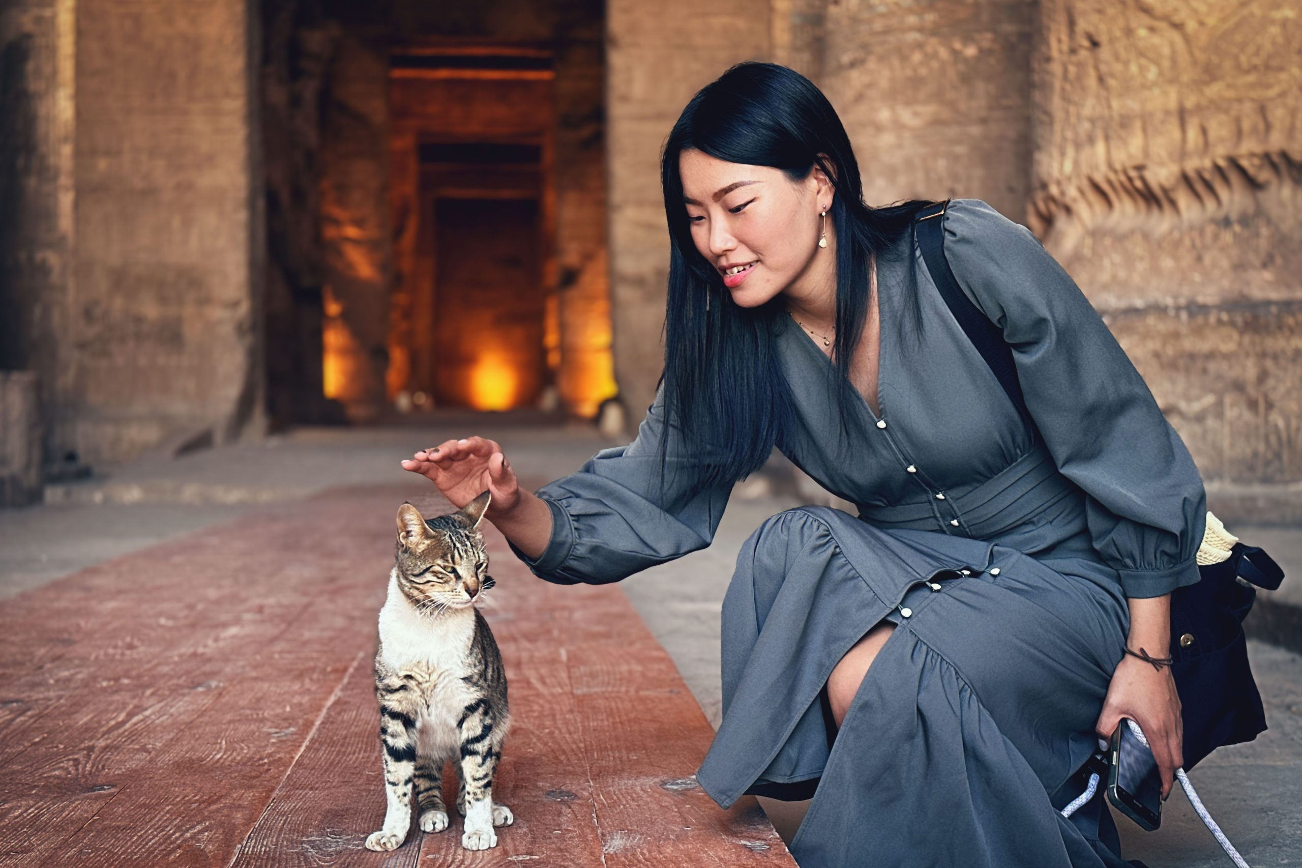 丹德拉貓 Dendera cat